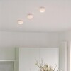 Serien - Reef Ceiling - Plafonnier