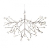 Moooi - Heracleum - Lustre / Suspension - cuivre/transparent/Ø 98cm