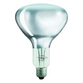 Flos - Ampoule LED E27 12W Luminator/ Parentesi