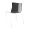 Arper - Catifa 46 0251 Chair Bicoloured Frame White - white/black/seat shell glossy/inside matt/frame white matt V12