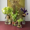 Tom Dixon - Tank Stem Vase