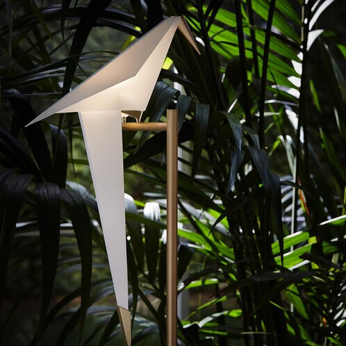 Moooi - Perch Light  LED - Lampadaire