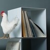 Jan Kurtz - Cubus Cube