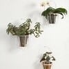 OK Design - Wall Cibele - Bloempot houder
