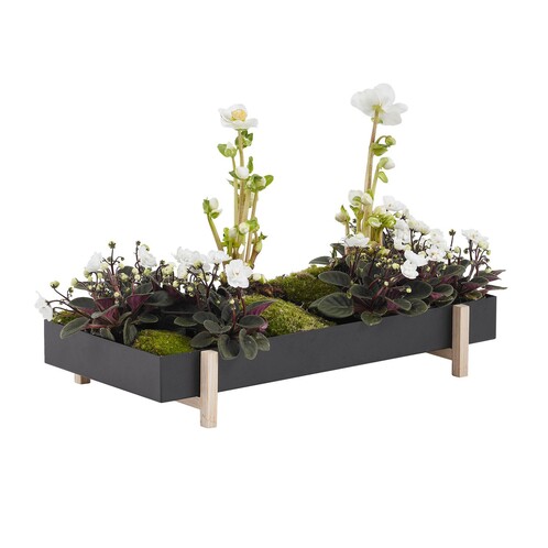 Design House Stockholm Botanic Tablett für Pflanzen | AmbienteDirect | Übertöpfe