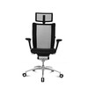 Wagner - Titan Limited Office Chair