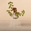 OK Design - Cibele - Bloempot
