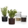 iittala - Kastehelmi Jar 11.4 cm