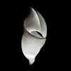 Ingo Maurer - Babadul - Lampadaire LED