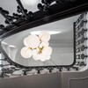 Tom Dixon - Plane Drop - Kroonluchter