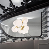 Tom Dixon - Plane Drop - Lustre