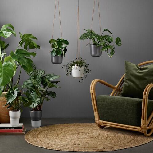 Eva Solo - Eva Solo Selfwatering Pot