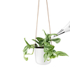 Eva Solo - Eva Solo Selfwatering Pot