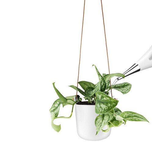 Eva Solo - Eva Solo Selfwatering Pot