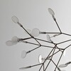 Moooi - Heracleum - Lüster / Pendellamp
