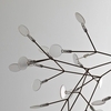 Moooi - Heracleum - Lustre / Suspension