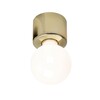Mawa Design - Eintopf - Applique murale/plafonnier - laiton/brillant/H 6cm, Ø 8cm