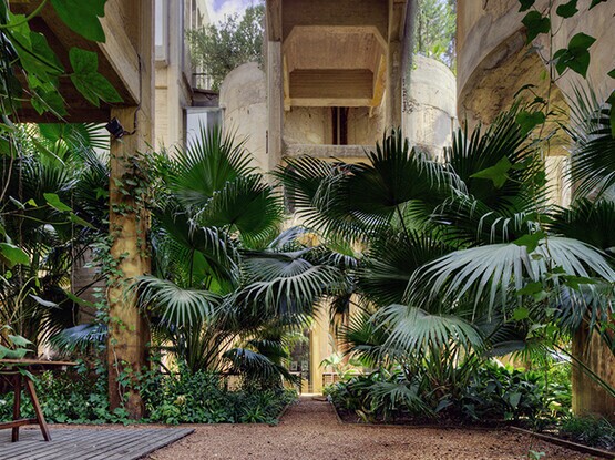 Gebäude mit Palmen 