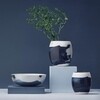 Stelton - Stockholm Aquatic - Schaalen