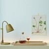 Skagerak - Norr - Plateau