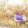 Moroso - Tropicalia Sessel mit Armlehnen