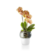 Eva Solo - Eva Solo Orchid Pot