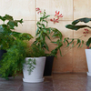 HAY - HAY Blumentopf mit Untersetzer 2er Set