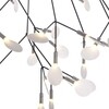 Moooi - Heracleum Small - Lüster / pendellamp