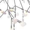 Moooi - Heracleum Small - Lustre / Suspension