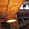 graypants - Drum - Suspension 