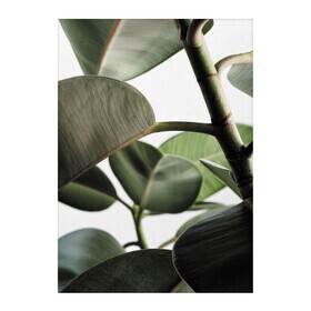 Paper Collective - Green Home 03 kunstafdruk