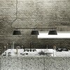 Muuto - Ambit Rail Pendelleuchte