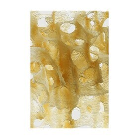 Moooi Carpets - Cellular Carpet 200x300cm