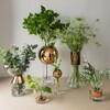 Tom Dixon - Tank Stem Vase