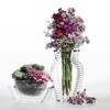Kartell - U Shine Schale 14cm