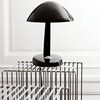 Montana - Panton étagère grillagée - Module