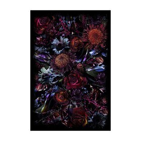 Moooi Carpets - Fool’s Paradise tapijt rechthoekig