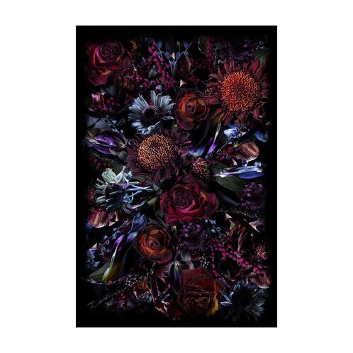 Moooi Carpets - Fool's Paradise Carpet 300x400cm - black/red/blue