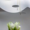 Catellani & Smith - Lederam S2 LED - Suspension
