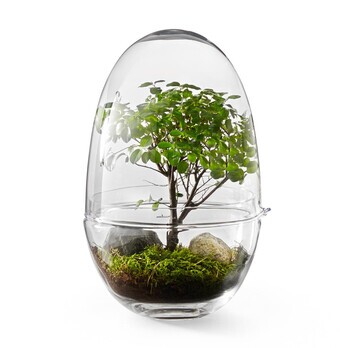 Design House Stockholm - Grow Gewächshaus