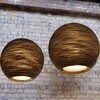 graypants - Sun - Suspension 