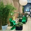 Vitra - Eames Wire Chair DKR - Chaise 43cm