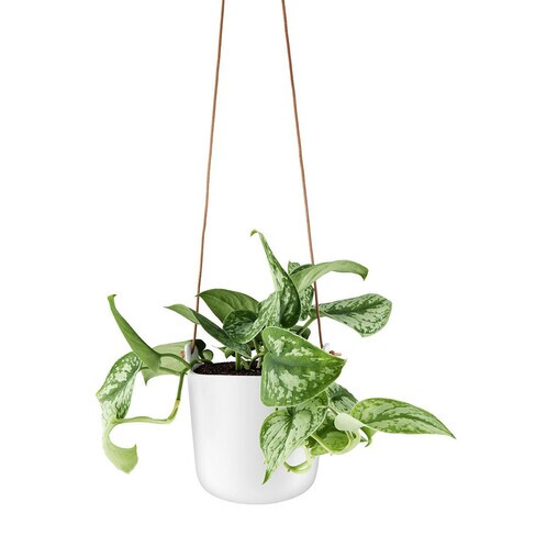 Eva Solo - Eva Solo Selfwatering Pot