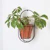 OK Design - Wall Cibele - Bloempot houder