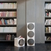 B-Line - Ring Container