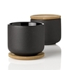 Stelton - Theo Teebecher  