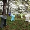 B-Line - Woopy Bar Stool