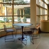 Knoll International - Bertoia Chair