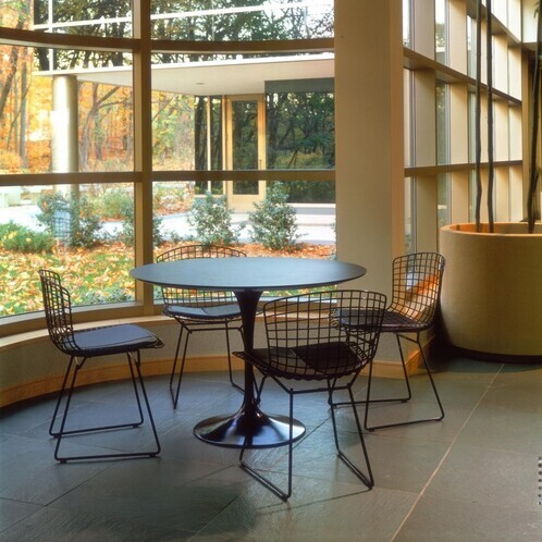 Knoll International - Bertoia Chair