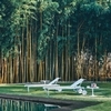 Knoll International - 1966-42 Richard Schultz Sun Lounger